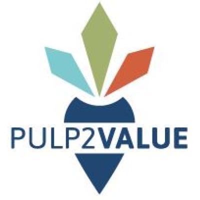 pulp2value_logo