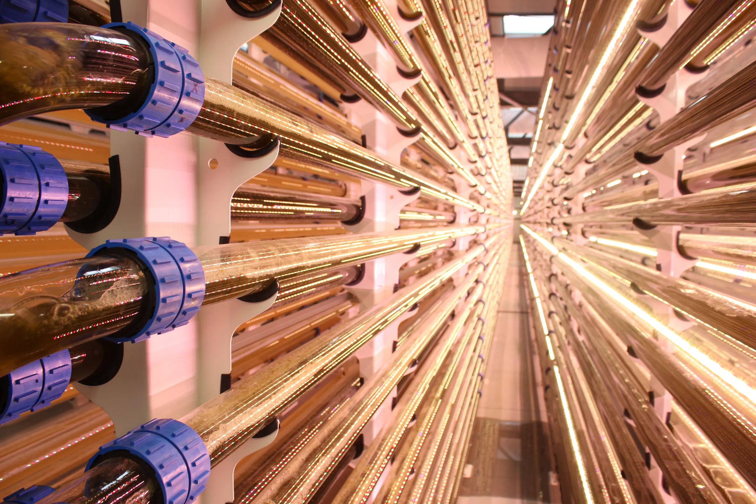 2 (20)_SCALE_© microphyt_PhotobioreactorCarmargues_baillarguesFR_0.jpg